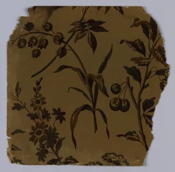 Campione di parete laterale, 1880-90